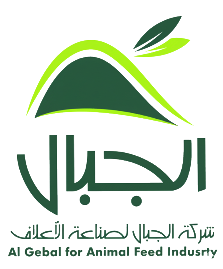 صورة عن الشركة